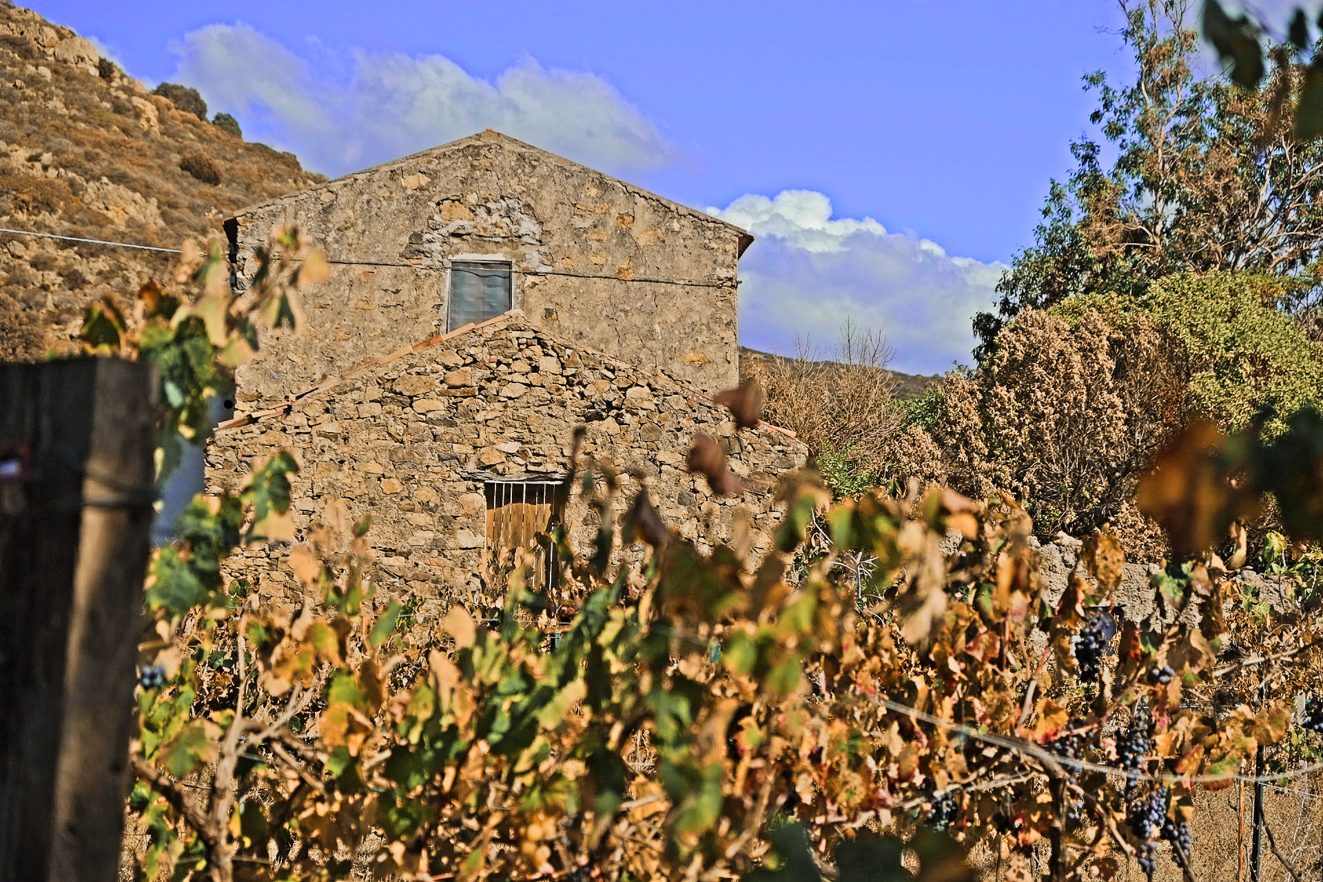 Sardinien – Le Reni September 2015