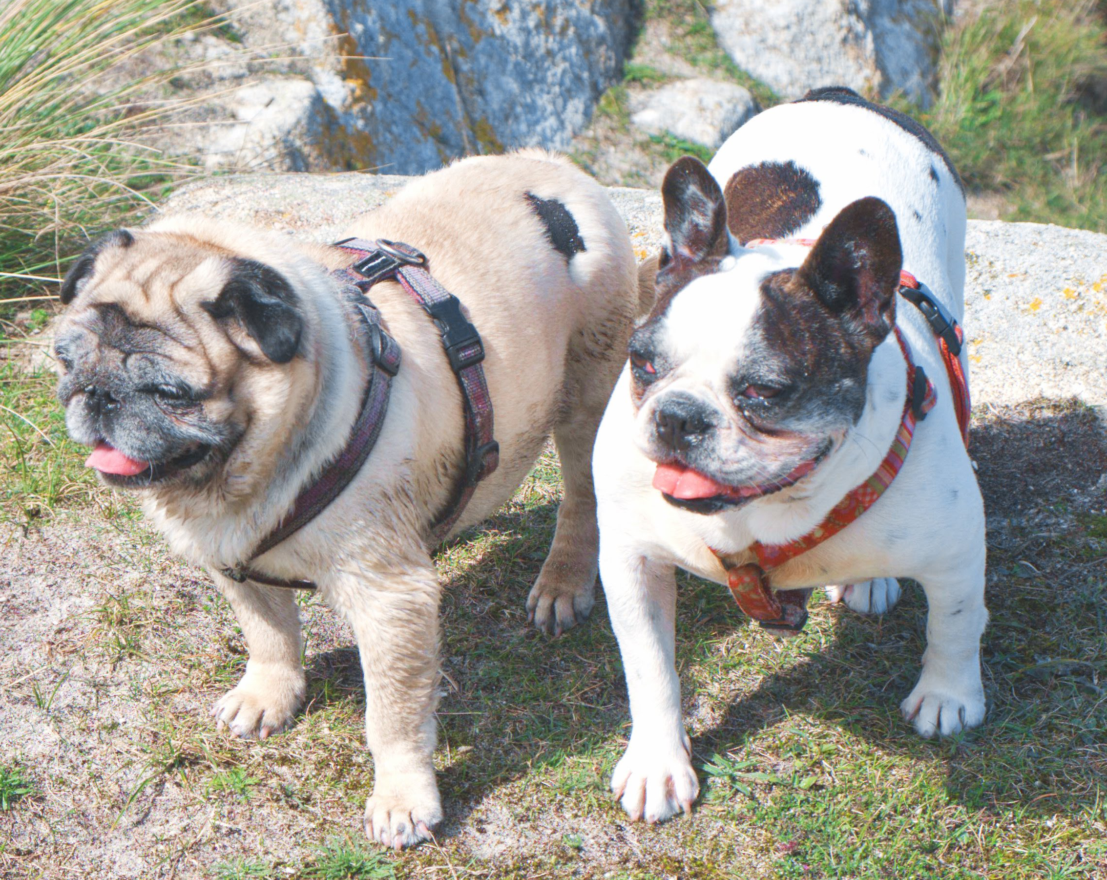 Ferdi & Lotti