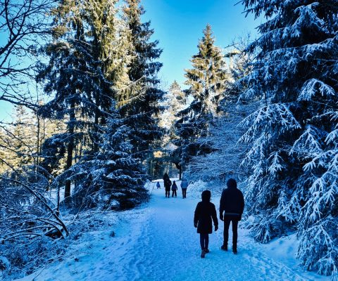 Wieder on Tour – Weihnachtstage im Harz
