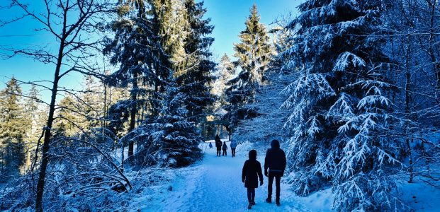 Wieder on Tour – Weihnachtstage im Harz