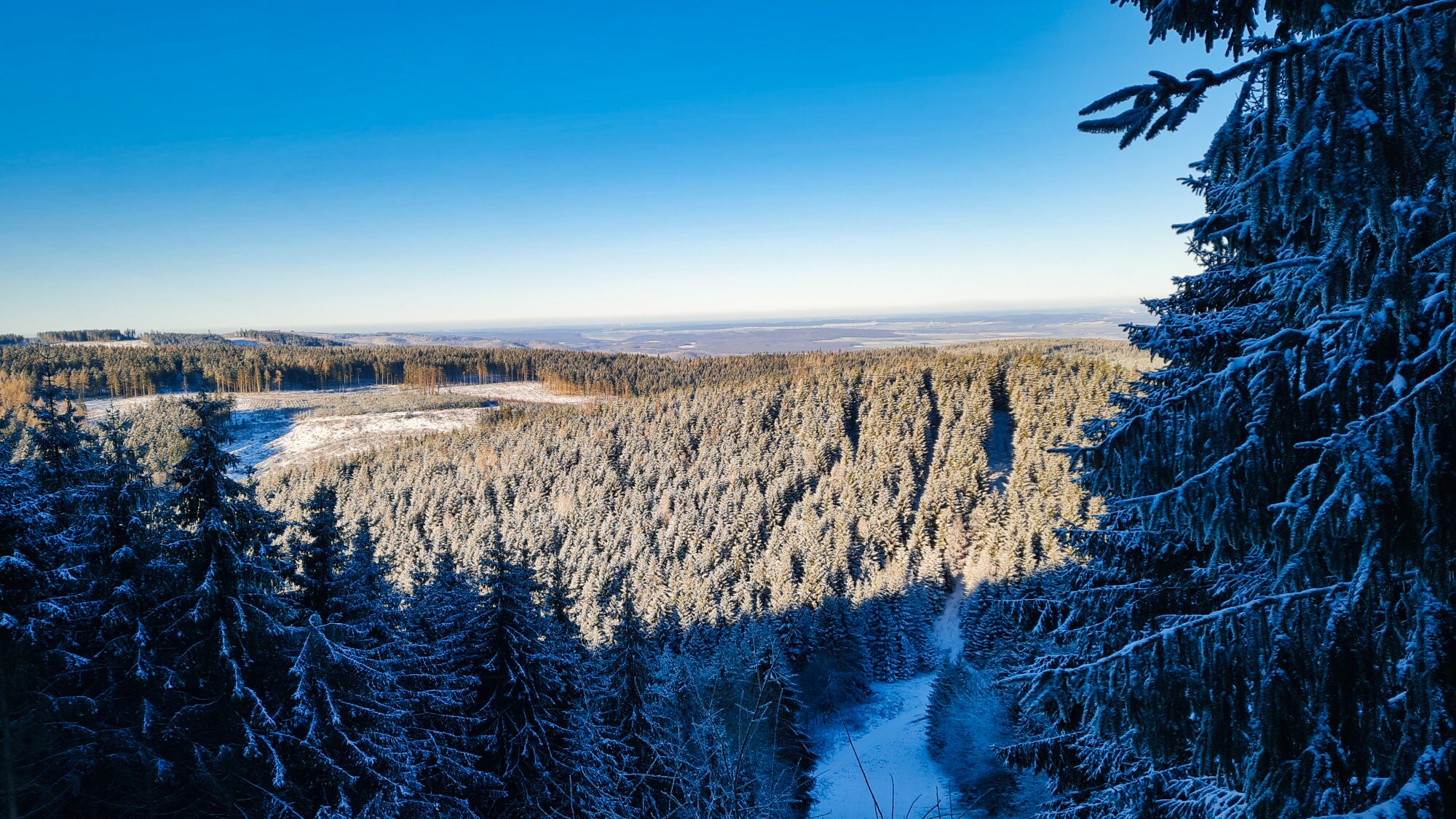 Harz Winter 2021