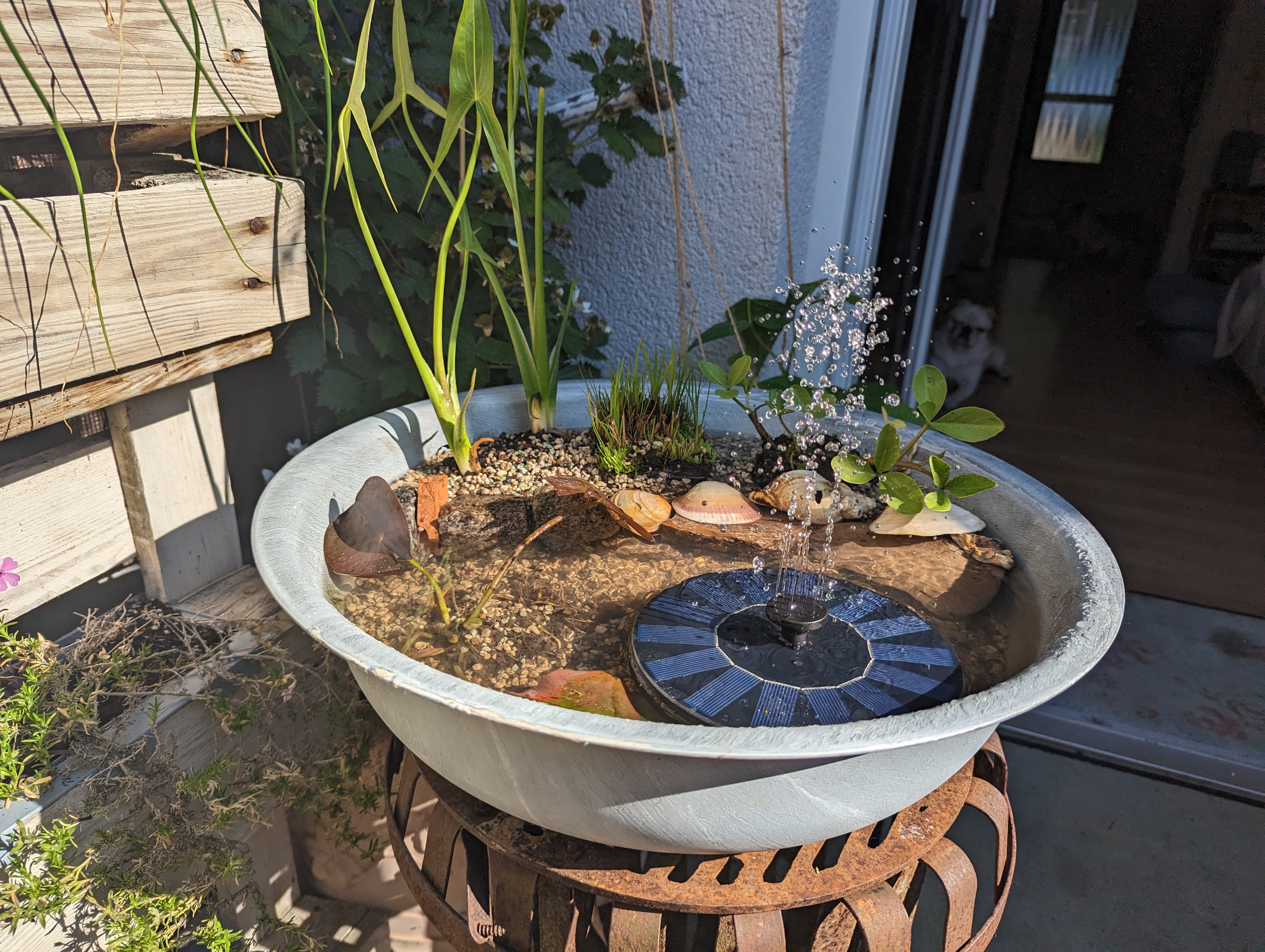 DIY – kleiner Gartenbrunnen